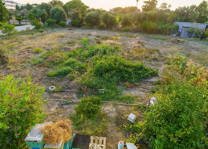 Private House, Peaceful Stylish Retreat Near Beach, Up To 5 Guests *