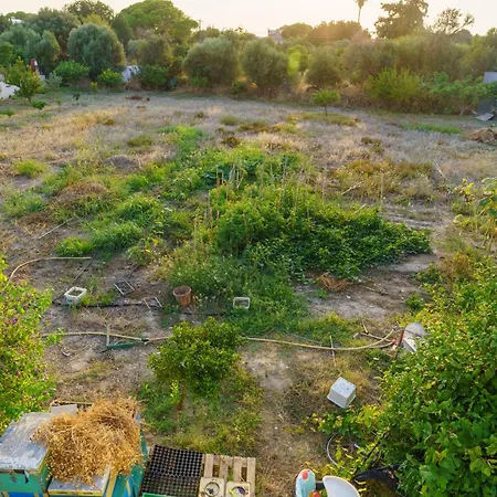 Private House, Peaceful Stylish Retreat Near Beach, Up To 5 Guests *